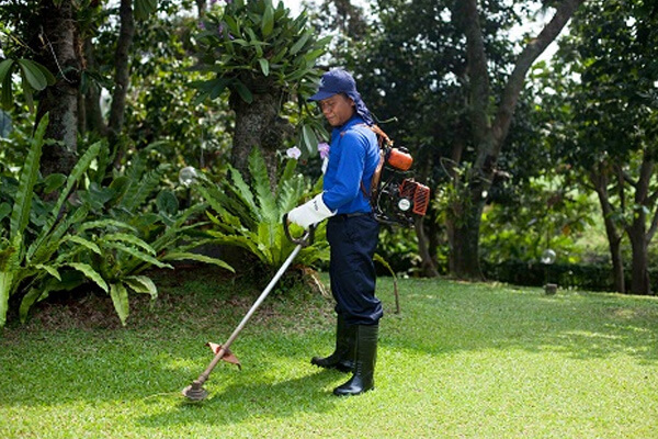 jasa gardener